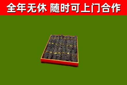 枞阳回收海参